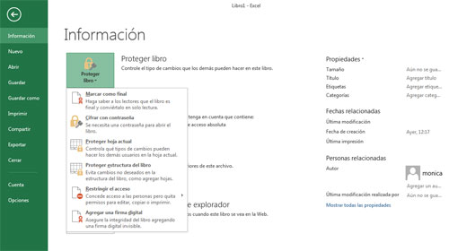 Opciones de seguridad en Excel 2013
